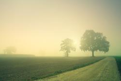 Depressione: i benefici preventivi e terapeutici della vitamina D